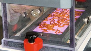 Plasmabehandlung zur Hygienisierung von Mehlwürmern (Bild: Rumposch/ATB)