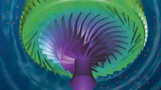 acm-2022-04-515-011 (Quelle: Cadence Design Systems)