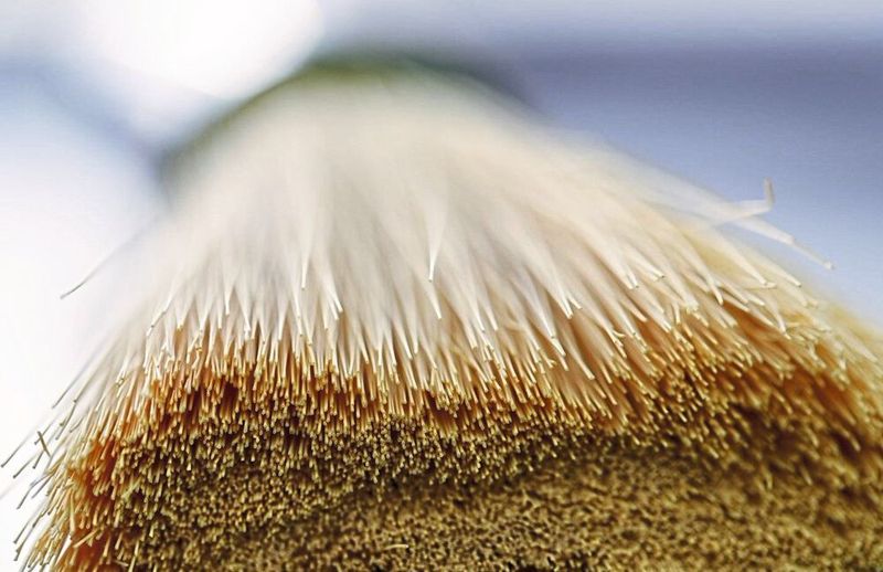 Bild 3: Polymere Werkstoffe sind die beste Basis, wenn es um die wirtschaftliche und produktive Gasseparation zur Biomethanreinigung geht – wie diese Hohlfasern, die Biomethan sperren und nur Spurengase und Kohlendioxid durchlassen und diese so ausfiltern. Sie befinden sich in den Sepuran-Modulen. (Evonik)