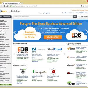 Schlüsselfertige AMIs mit Softwareprodukten der Enterprise-Klasse im AWS Marketplace.