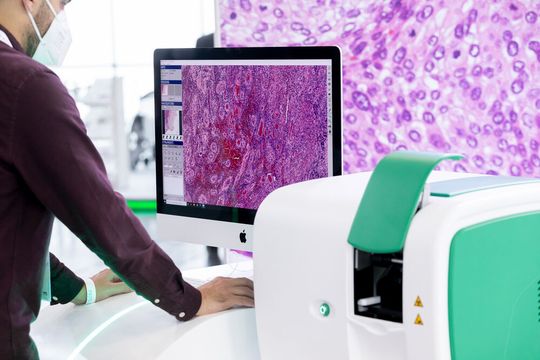 Wie kann künstliche Intelligenz bei der Interpretation von Laborwerten helfen? Wie kann künstliche Intelligenz bei der Interpretation von Laborwerten helfen?