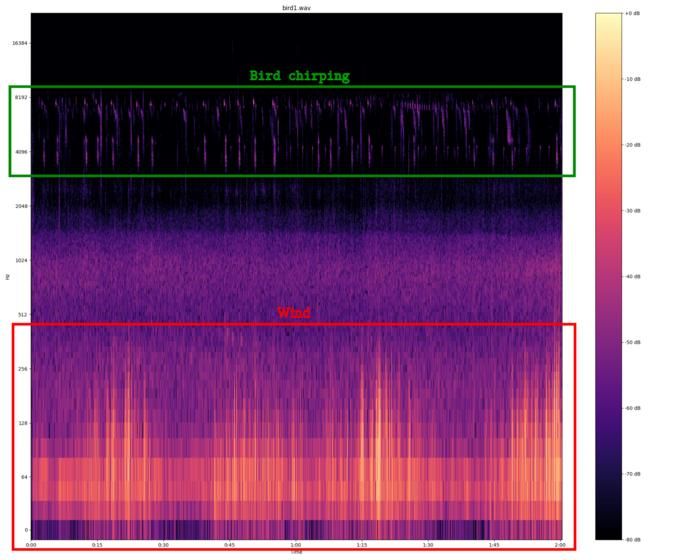 Was der Wald uns sagt  Wissenschaftler der Kaunas Universität haben ein neues System zur Analyse von Waldgeräuschen entwickelt, das eine zentrale Rolle in der modernen Waldüberwachung spielt. Dieses System nutzt künstliche Intelligenz und Datenanalyse, um natürliche Geräusche im Wald zu erkennen und Abweichungen zu identifizieren, die auf ökologische Störungen oder menschliche Aktivitäten hinweisen können.  Ein besonderes Feature ist die Fähigkeit des Systems, Veränderungen im Vogelgesang zu überwachen, was Hinweise auf ökologische Probleme geben kann. Ein plötzlicher Rückgang oder Anstieg der Vogelgeräusche könnte auf Umweltstress oder Störungen hindeuten. Auch Geräusche von Bäumen– wie Windgeräusche oder das Brechen von Ästen – können Aufschluss über die Windstärke oder strukturelle Veränderungen der Bäume geben, die durch Dürre oder andere Stressfaktoren verursacht werden.  Das Bild zeigt eine Untersuchung von Vogelgeräuschen aus einem städtischen Wald bei Wind. Durch Signalverarbeitung und Analyse der Zeit- und Frequenzbereiche lassen sich die verschiedenen Signale, wie die hochfrequenten Vogelgezwitscher und das Windgeräusch, unterscheiden. Hier gehts zur Originalmeldung Wissenschaftsbild des Tages vom 11.3.2025  (Bild: KTU)