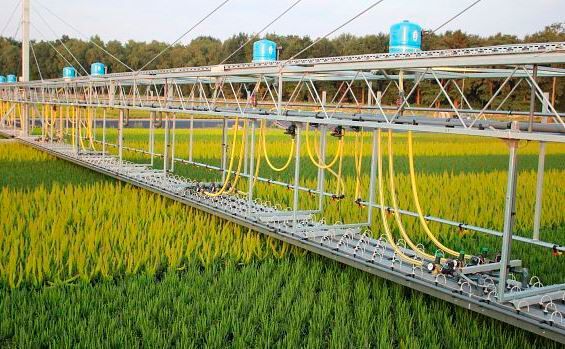 Den grünen vector gewinnt das Unternehmen Dercks Gartenbau GmbH aus Geldern für den Einsatz von Energiekettensystemen in Exaktgießwagen mit 45 m Spannweite. (Bild: Igus)