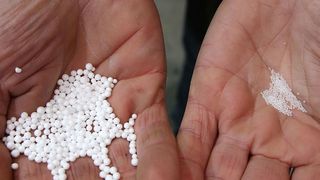 Der Schaumteilehersteller für den Verpackungsbereich Schlaadt in Lorch setzt bei der Verarbeitung von expandierbarem Polystyrol (EPS) und Polypropylen (EPP) jetzt auf drehzalgeregelte Schraubenkompressoren der GA-Baureihe von Atlas Copco. Mit den neuen Systemen, heißt es, wird die Herstellung anspruchsvoller geschäumter Komponenten energieeffizienter, weil sich die Kompressoren etwa dem Druckluftbedarf in der Produktion smart anpassen und mit einer Wärmerückgewinnungsfunktion arbeiten. Hier ein Vergleich von vorgeschäumten EPS-Kügelchen (links) und Rohmaterial in den Händen von Thomas Schmitt, dem verantwortlichen Anlagentechniker bei Schlaadt. Beim Vorschäumen verzwanzigfacht sich das Volumen des Ausgangsmaterials, erklärt er, und das natürlich bei gleichbleibendem Gewicht. (Altlas Copco)