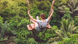 Durch individuelle Beratung können auch KMU den Überblick im Technologie-Dschungel bewahren. (gemeinfrei)