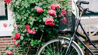 Complēt and Onforce composites have structural characteristics that provide stiffness, strength, and toughness, making them ideal alternatives to metals.  (Source: Pixabay)