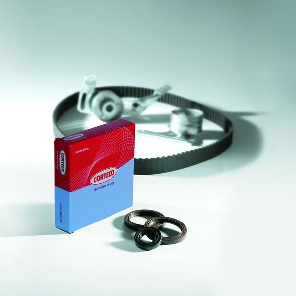 Sollte gerade bei jedem Zahnriemenwechsel kontrolliert werden: Der Simmerring von Kurbel-, Nocken- und Ausgleichswelle. (Archiv: Vogel Business Media)