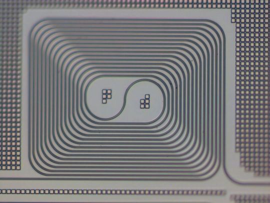 Mikroskopaufnahme eines 1,51 cm langen, gefertigten Wellenleiters aus deuteriertem Siliziumnitrid. Die Struktur ist spiralförmig angelegt und besitzt einen Biegeradius von 100 µm. (Bild:  SUTD)