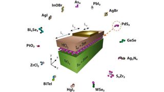 Struktur eines single-​gate Feldeffekttransistors mit einem Kanal aus einem zweidimensionalen Material. Drumherum angeordnet befindet sich eine Auswahl an zweidimensionalen Materialien, die untersucht wurden. (ETH Zürich / EPFL / CSCS)