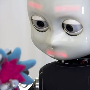 (Italian Institute of Technology, IIT)