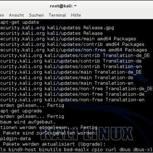 Nach der Installation von Kali sollten zunächst alle Programme und die Distribution aktualisiert werden. Das erfolgt über den Befehl apt-get upgrade und apt-get update. Die Distribution selbst wird mit apt dist-upgrade und dann mit reboot aktualisiert.(Bild:  Th. Joos)