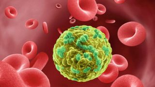 Präzise Krebstherapie: Das Deep-Learning-Tool Flexynesis nutzt tiefe neuronale Netze und multimodale Daten etwa zur personalisierten Krebsbehandlung. (Bild: MDC-BIMSB)