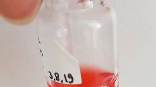 In der auf die Elektrolyse folgenden Fermentation wird Ameisensäure zu einem wertschöpfenden terpenoiden Farbstoff umgesetzt. (Fraunhofer IGB)