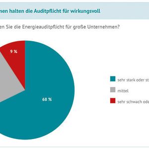 Knapp 70% der Unternehmen halten die Auditpflicht für wirkungsvoll.