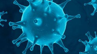 In Zeiten der Corona-Krise sind die Händler dringend auf die Unterstützung der Banken angewiesen. (© Ahmet  Aglamaz - stock.adobe.com)