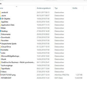 Ein Benutzerprofil besteht aus verschiedenen Verzeichnissen.