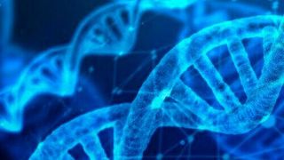 It’s the largest study to date to link disease-causing genes to specific types of immune cells. (Pixabay)