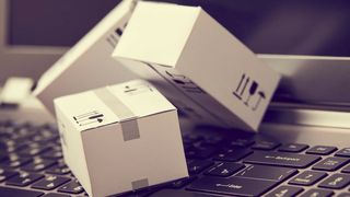 45191-bild-3x (Quelle: fox17 – Adobe Stock)