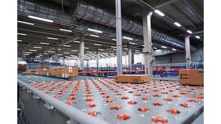 Das Sortiersystem „cv-CROSSDOCK“ wird auf der Logimat 2024 erstmals einem größeren Fachpublikum vorgestellt. (Bild: Cellumation)