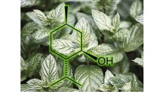Menthol kommt in Minzpflanzen vor, wird aber auch in großem Maßstab synthetisch produziert. (Bild: MPI für Kohlenforschung)