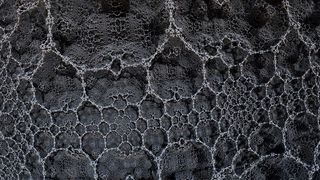 Deep Learning: Welche Kriterien spielen bei einer Entscheidung eine Rolle und wie lernt das Neuronale Netz? (Bild: gemeinfrei)