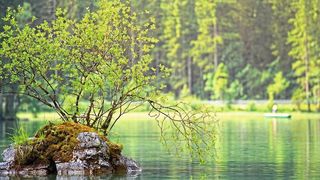 Binnen- und Küstengewässer zählen zu den Hotspots der Biodiversität. | (gemeinfrei)