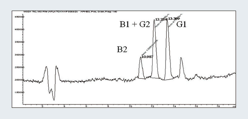 Abb.3: Die Derivatisierung der Aflatoxine B1 und G1 führt zu einer signifikant besseren MS-Response verbunden mit einem charakteristischen Brom-Muster im Massenspektrum. Die Nachweisgrenze für alle untersuchten Aflatoxine liegt unter 0,01 µg/kg. (Archiv: Vogel Business Media)