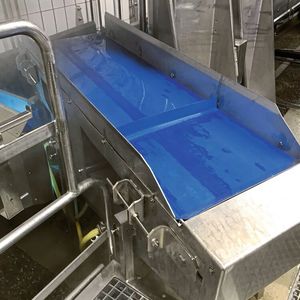 Die permanente Reinigung des Förderbandes bedeutet für den Trommelmotor eine extreme Belastung.(Bild:  Momentum Technologies)