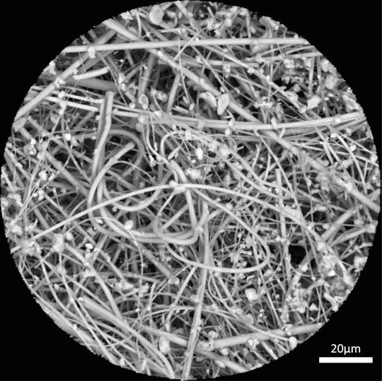 Das Bild zeigt eine Aufnahme eines Quarzfaserfilters unter dem Elektronenmikroskop. Auf dem Filter sind zahlreiche mikrometergroße Mikroplastikpartikel zu sehen, die aus Staub stammen. Diese feinen Partikel, die in der Raumluft vorkommen, haften am Filtermaterial und erscheinen als kleine, unregelmäßige Formen auf der Bildfläche. Solche Bilder helfen dabei, die Verbreitung und Zusammensetzung von Mikroplastiken in Innenräumen besser zu verstehen und deren potenzielle Gesundheitsgefahren einzuschätzen.(Bild:  Human exposure to PM10 microplastics /Nadiia Yakovenko / CC BY 4.0)