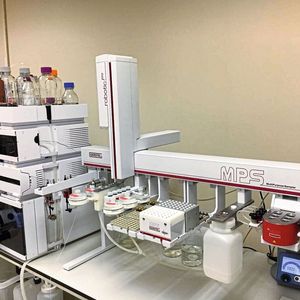 (Gerstel; Gemeinfrei)