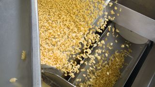 Wie handhabt man Rohstoffe und Produkte sicher und schonend? Wie bringt man Effizienz in die Prozesse? Was tut sich beim Thema Industrie 4.0? Zahlreiche Lösungen finden Lebensmittel- und Getränkehersteller auf der Powtech. (Bild: ©Sergey Cash - stock.adobe.com)