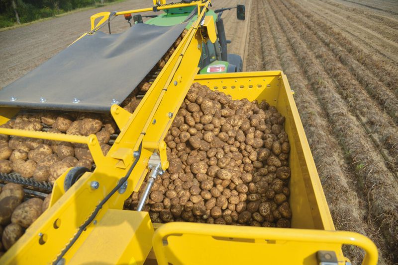 Detail der Kartoffelerntemaschine Keiler 1. (Bild: Ropa)