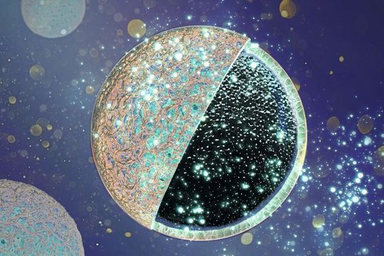 Eine äußere Schutzschicht schirmt den porösen Kern der Kohlenstoffanode gegen unerwünschte Einlagerungen ab und erhöht so die Leistungsfähigkeit der Batterie.(Bild:  BAM)