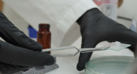 In nicht allzu ferner Zukunft könnte der 3D-Biodruck die Ära der langen Wartelisten für Transplantationen beenden.(Bild: Vital3D)