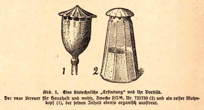 Raoul Heinrich Francé zeichnete nach dem Prinzip der Mohnkapsel einen Streuer und  erhielt dafür 1920 das erste deutsche Patent für eine bionische Erfindung.