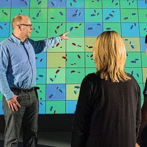 Hans-Hermann Thulke und sein Team modellieren, wie sich die Afrikanische Schweinepest ausbreitet. Sie liefern damit europäischen Behörden wichtige Entscheidungsgrundlagen.