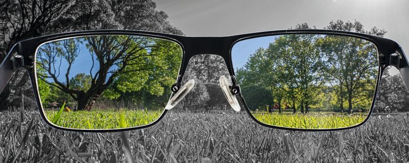 Wie unser Auge Farben erkennt: PSI-Forschende haben wichtige Details über die molekularen Mechanismen entschlüsselt, mit denen Proteine in der Netzhaut bei Tageslicht Farben unterscheiden und Bewegungen bei Tageslicht wahrnehmen. (Symblbild)(Bild: ©  Maria Vonotna - stock.adobe.com)