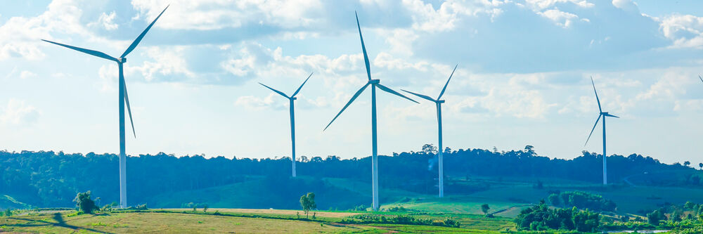 Wind farms: How they work, types, and advantages
