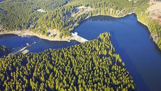 Die Rappbodetalsperre im Harz ist von Wäldern umgeben und die größte Trinkwassertalsperre Deutschlands. (Bild: André Künzelmann/UFZ)