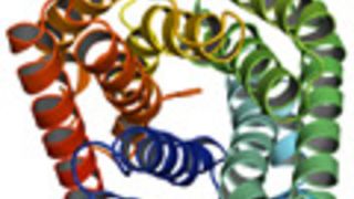 Blick in den SLAC1-Anionen-Kanal.  (Bild: TU München)