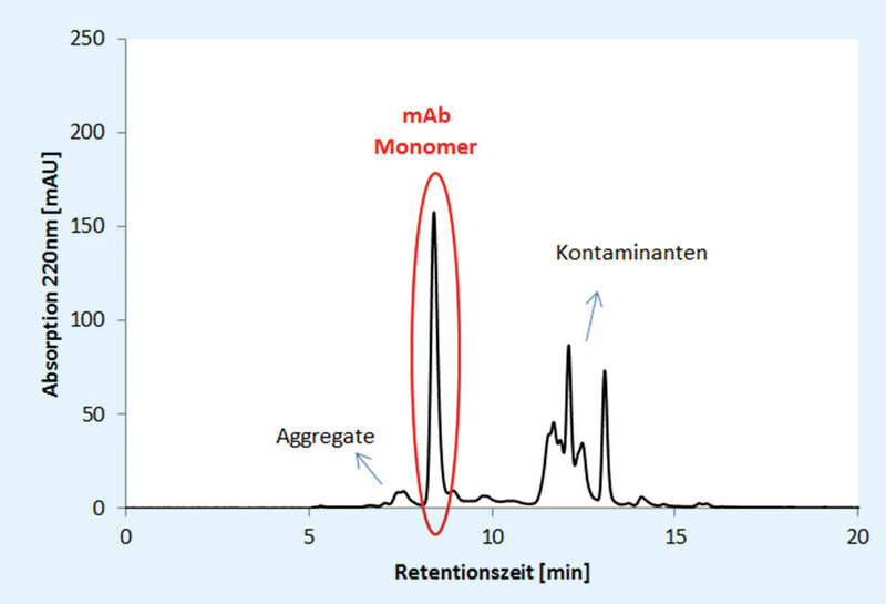 Abb.3: 3 HPLC-SEC-Analyse eines monoklonalen Antikörpers nach Ernte und erster Klärung im Downstream-Prozess (Bild: Sartorius)