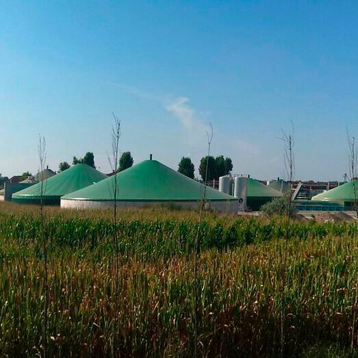 Biogas originates from plant material that has absorbed CO2 from the atmosphere in this way. Biogas originates from plant material that has absorbed CO2 from the atmosphere in this way.