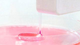 3D bioprinting is capable of producing customized human tissues in a shorter period of time which helps to accelerate the preclinical drug screening process, thus leading to novel therapies. (Source: luchschenF - stock.adobe.com)