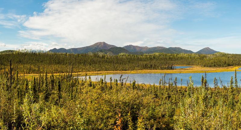 -63 °C – 03.02.1947 Snag, Kanada, Nordamerika  Im Westen Kanadas an der Grenze zum US-Bundesstaat Alaska wurde die kälteste Temperatur Nordamerikas gemessen: -63 °C     Hier geht es zurück zum Begleitartikel dieser Bildergalerie: Die tiefsten Temperaturen der Welt  Quelle: Minus 89,2 Grad: Das sind die weltweiten Kälterekorde     Bildquelle: Diego Delso (CC BY-SA 4.0): Paisaje_en_Snag_Junction,_Yukón,_Canadá,_2017-08-25 (Diego Delso (CC BY-SA 4.0))
