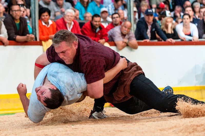 Schwinger Kristian Stucki (4-facher Eidgenössischer Kranzschwinger) in Aktion am Emmentalischen Schwingfest 2015. (Bild: H.P. Müller Werkzeugmaschinen AG)