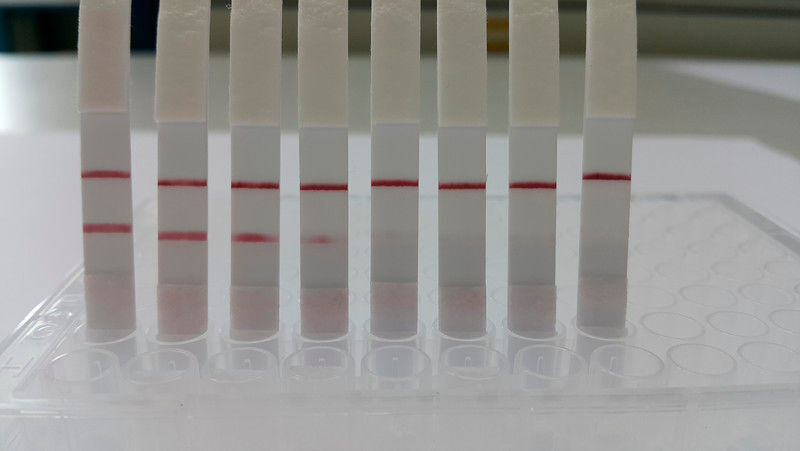 Test results: Two red stripes show that there is a contamination. (TU Wien)