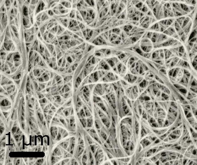 Kohlenstoff Nanoröhren (Rasterelektronenmikroskop) (Bild: Wikipedia)