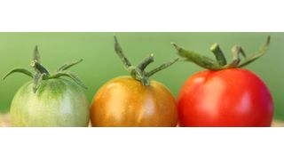 Agile Softwareentwicklung und moderne Softwareauslieferungsprozesse sind für viele Unternehmen die Herausforderung der Zukunft. (© daggistock - stock.adobe.com)