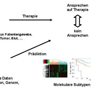 Abb. 1: Flussdiagramm zur Grundidee der Personalisierten Medizin: Von einem Patienten werden in der Diagnostik verschiedene Biomarker analysiert. Dies können genomische Daten, Expressionsdaten (Transkriptom) oder andere Omics-Daten sein. Durch den Abgleich mit Studiendaten wird eine Subgruppe von Patienten mit ähnlichen Parametern identifiziert, um eine Aussage über den Therapieerfolg treffen zu können.