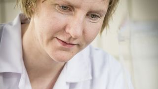 Lignine lassen Pflanzen Richtung Sonne wachsen und sorgen gleichzeitig für die Abwehr von Fressfeinden. (Bild: Lunghammer - TU Graz)